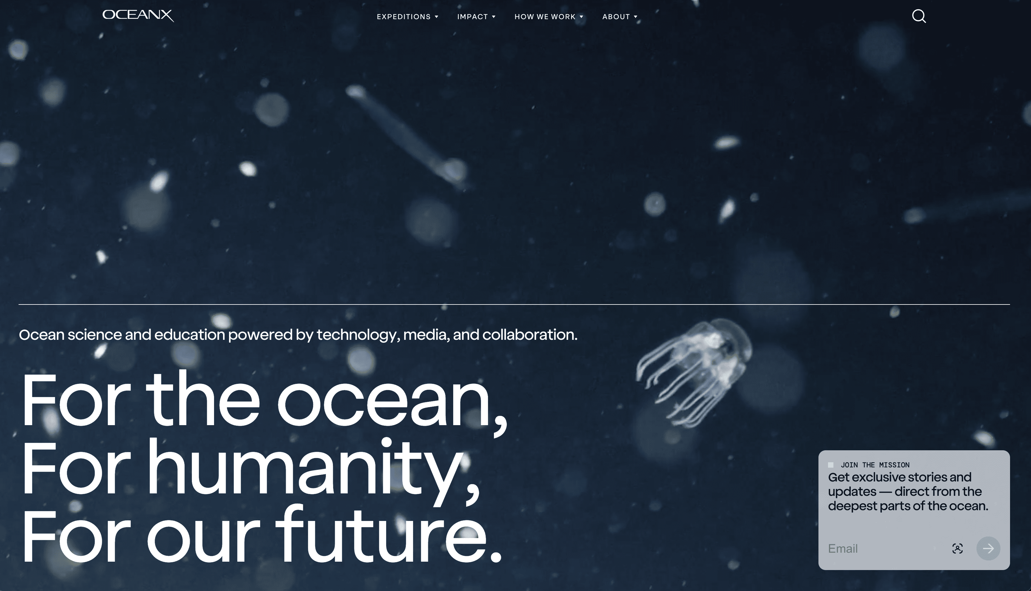 Screenshot of the OceanX website